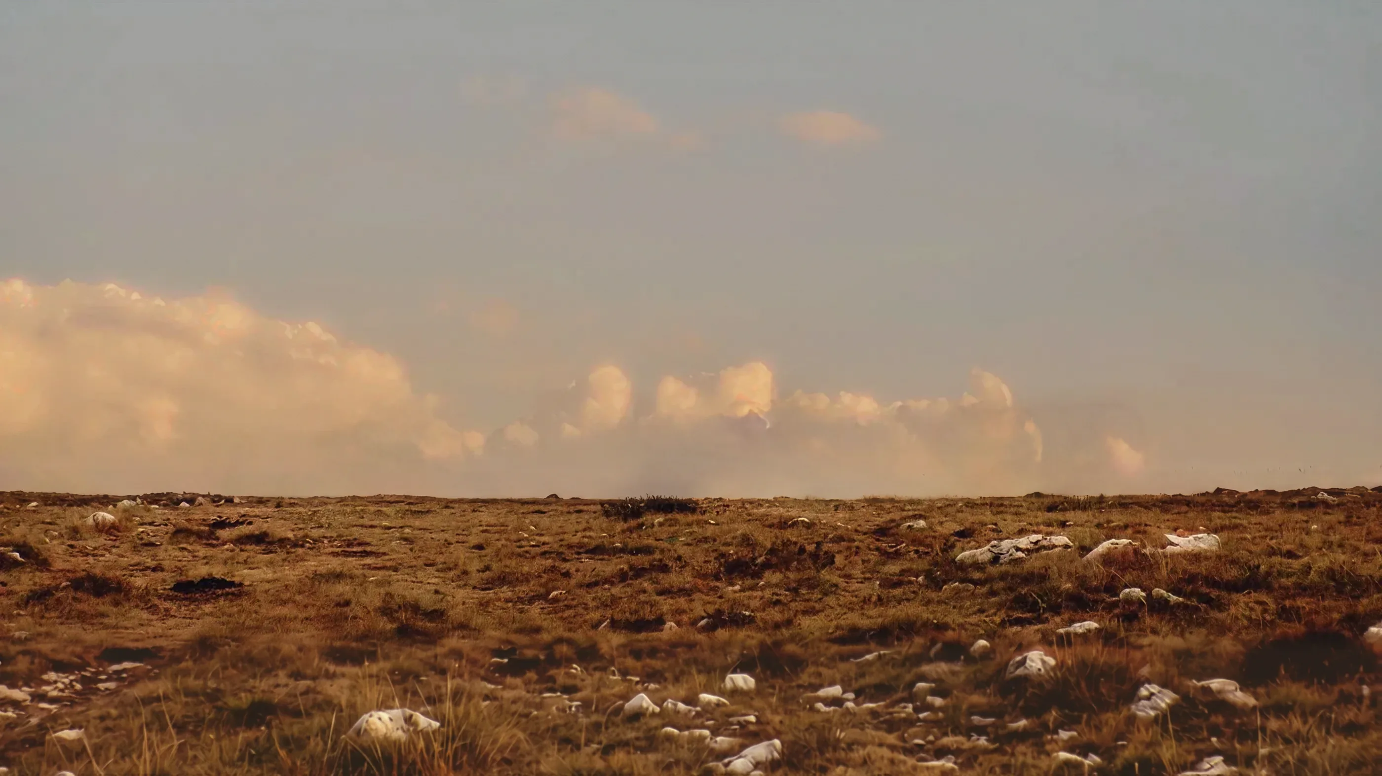 A line of about twenty horses walking along the far horizon under a pale evening sky.